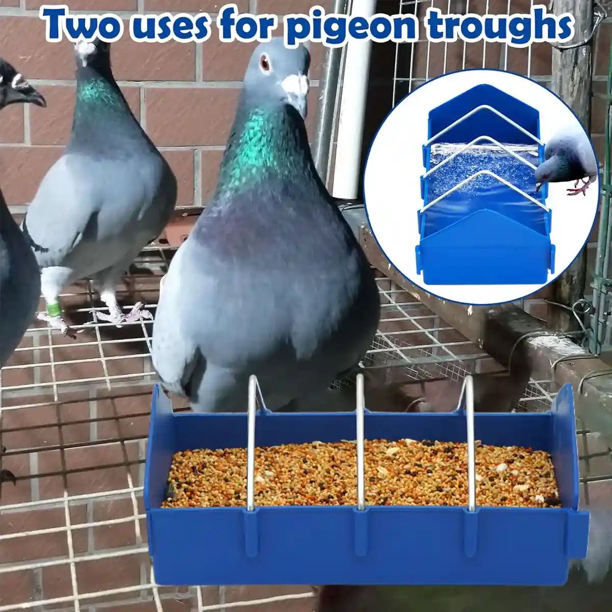 Anti-Spill Pigeon Feeder 2PCS Durable Bird Poultry Feeding Trough