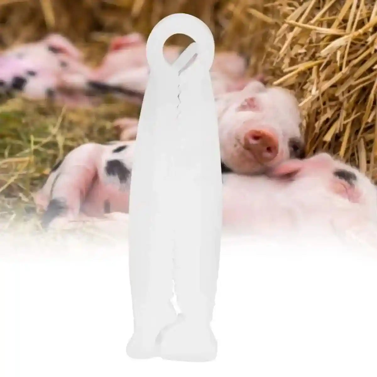 100PCS Piglet Care Umbilical Cord Clamps for Newborn Livestock