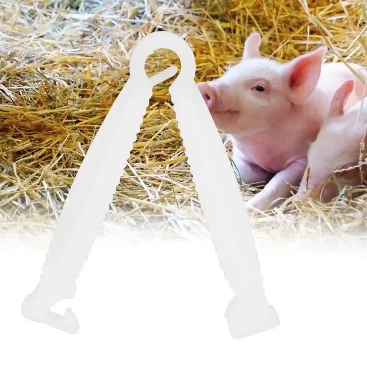 100PCS Piglet Care Umbilical Cord Clamps for Newborn Livestock