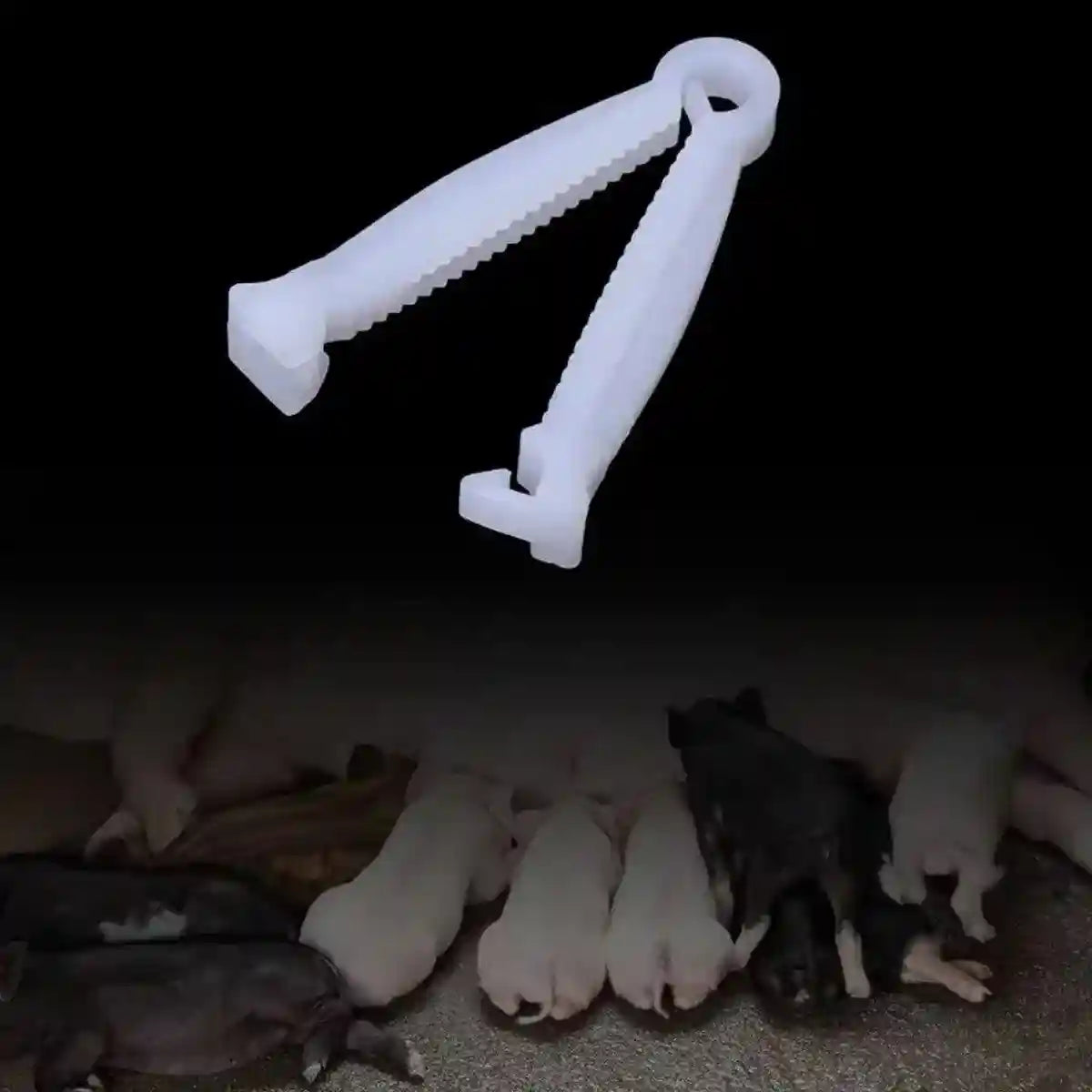 100PCS Piglet Care Umbilical Cord Clamps for Newborn Livestock