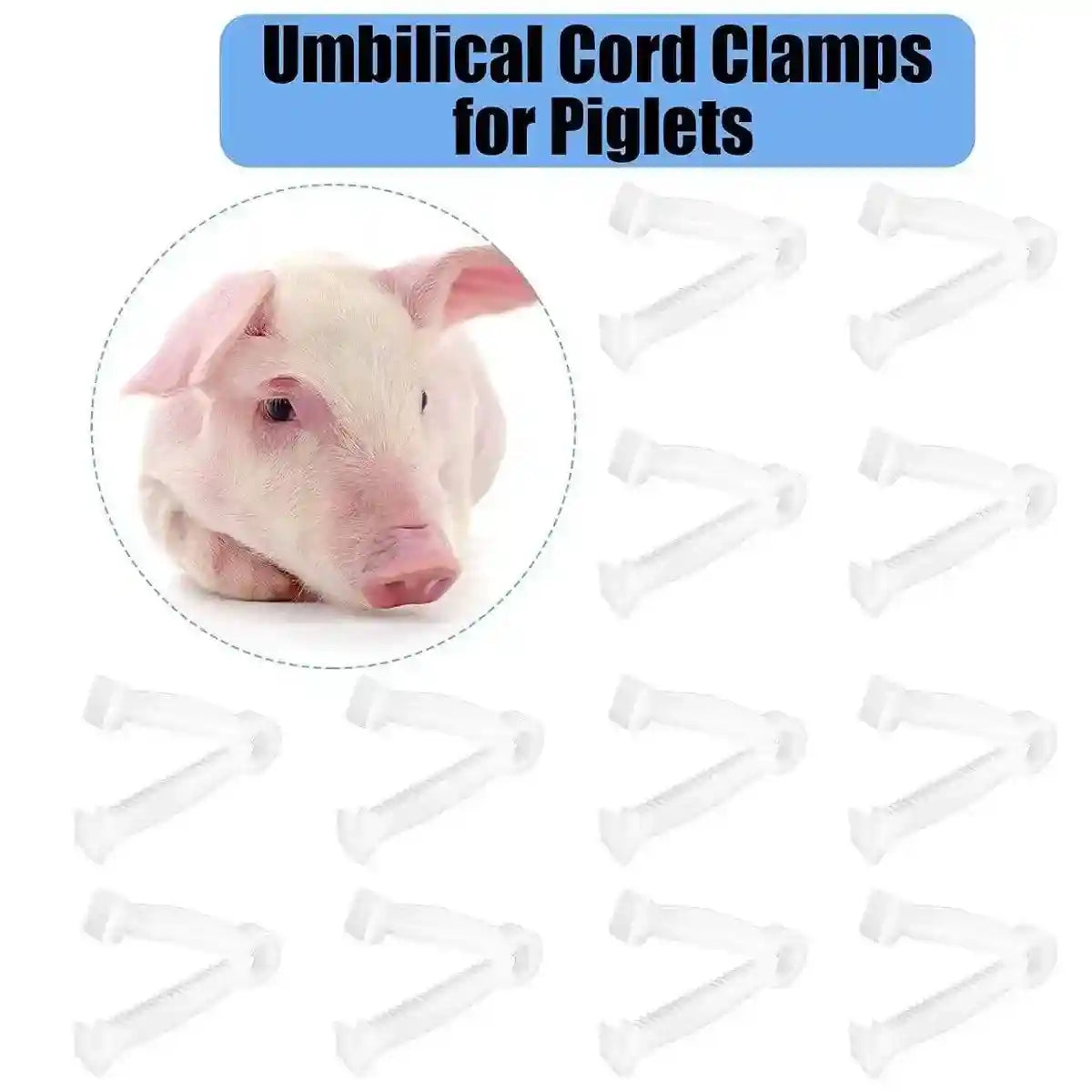 100PCS Piglet Care Umbilical Cord Clamps for Newborn Livestock