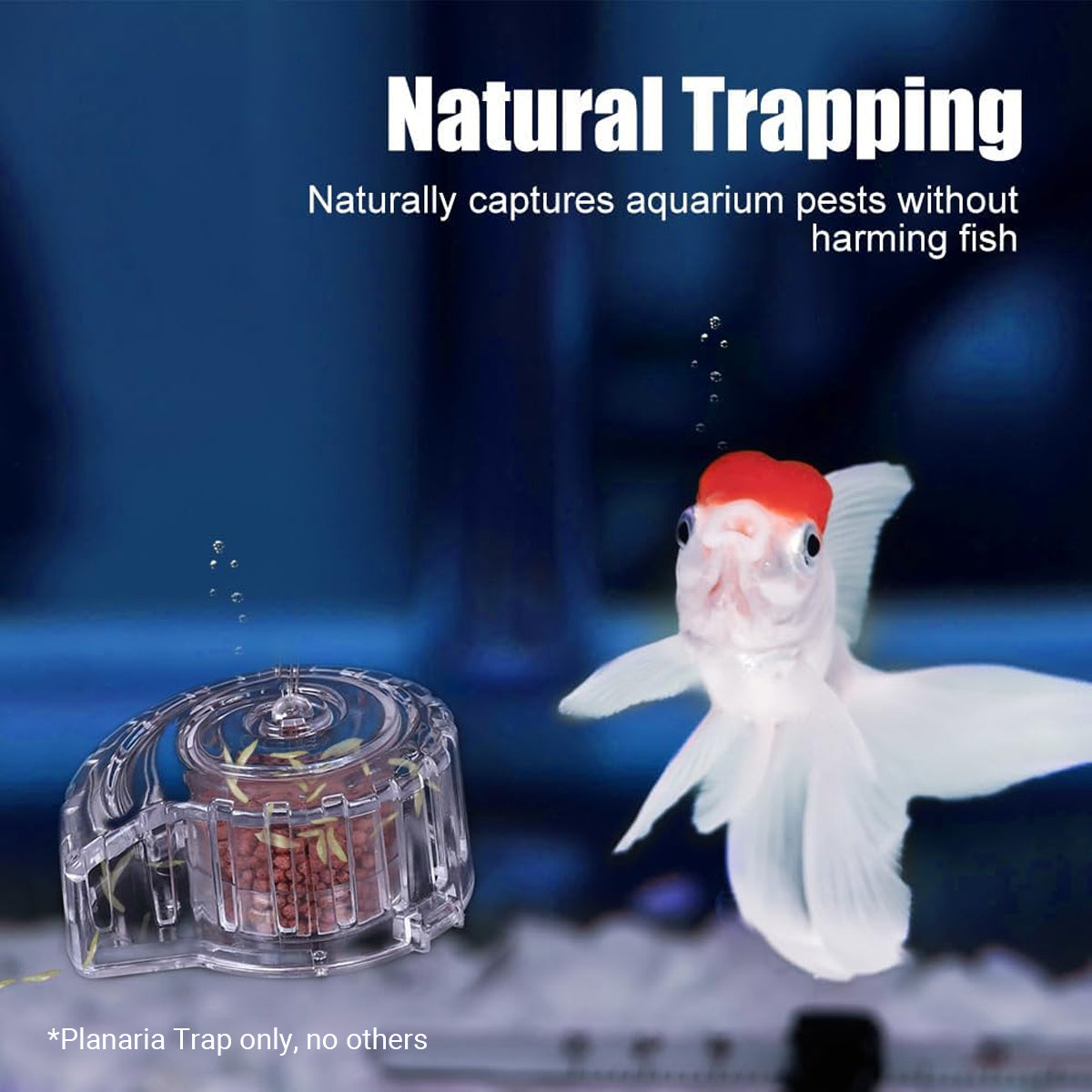 Aquarium Snail Catcher Transparent PC Trap Safe & Effective for Fish Tanks