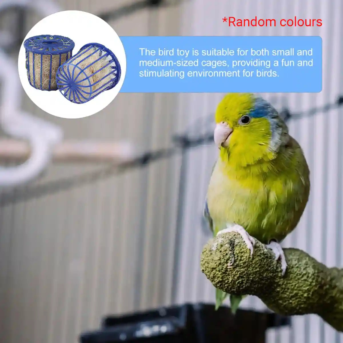 Bird Nest Hatching Tool Set (2PCS)