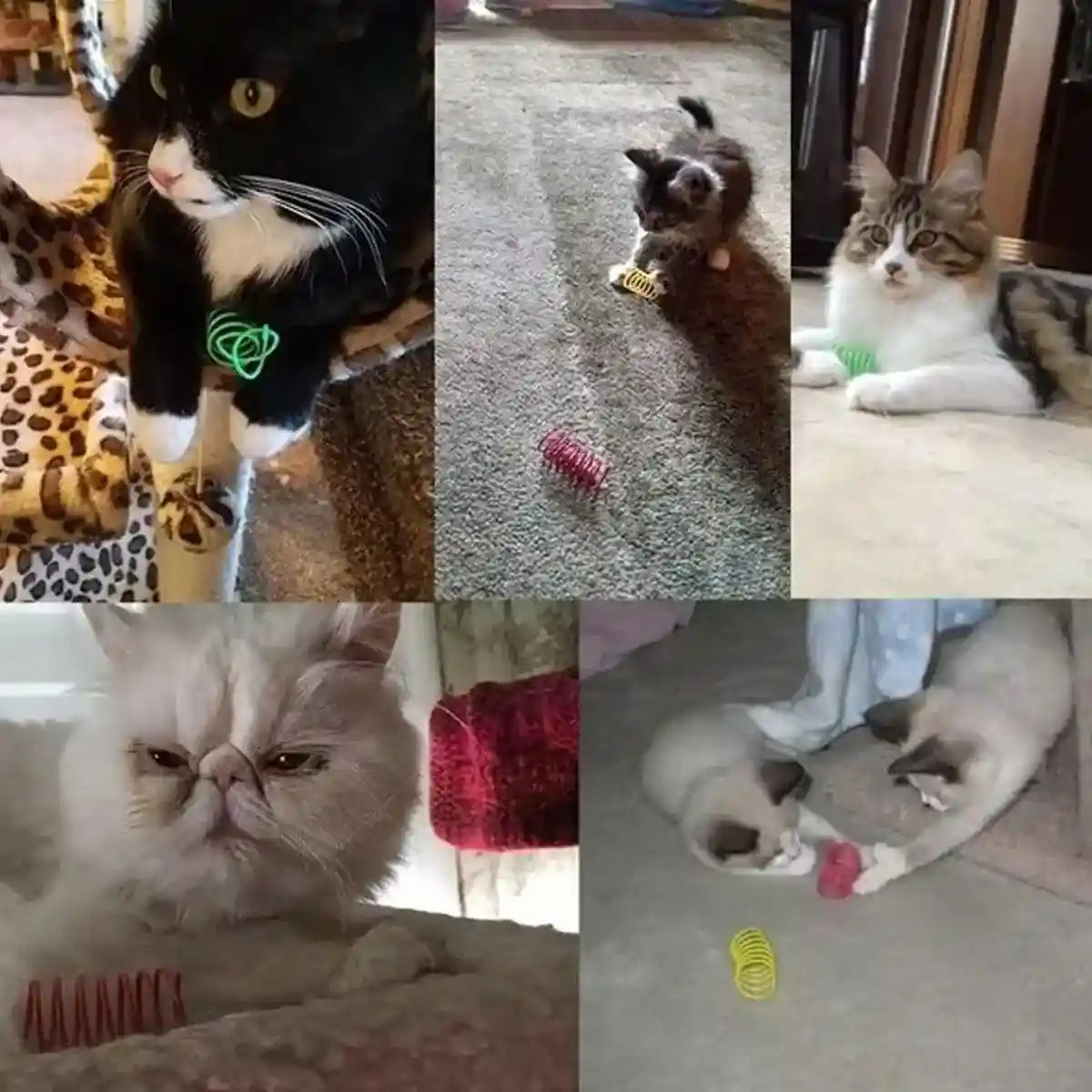 Interactive Spring Cat Toy Colorful Plastic Springs for Indoor Play
