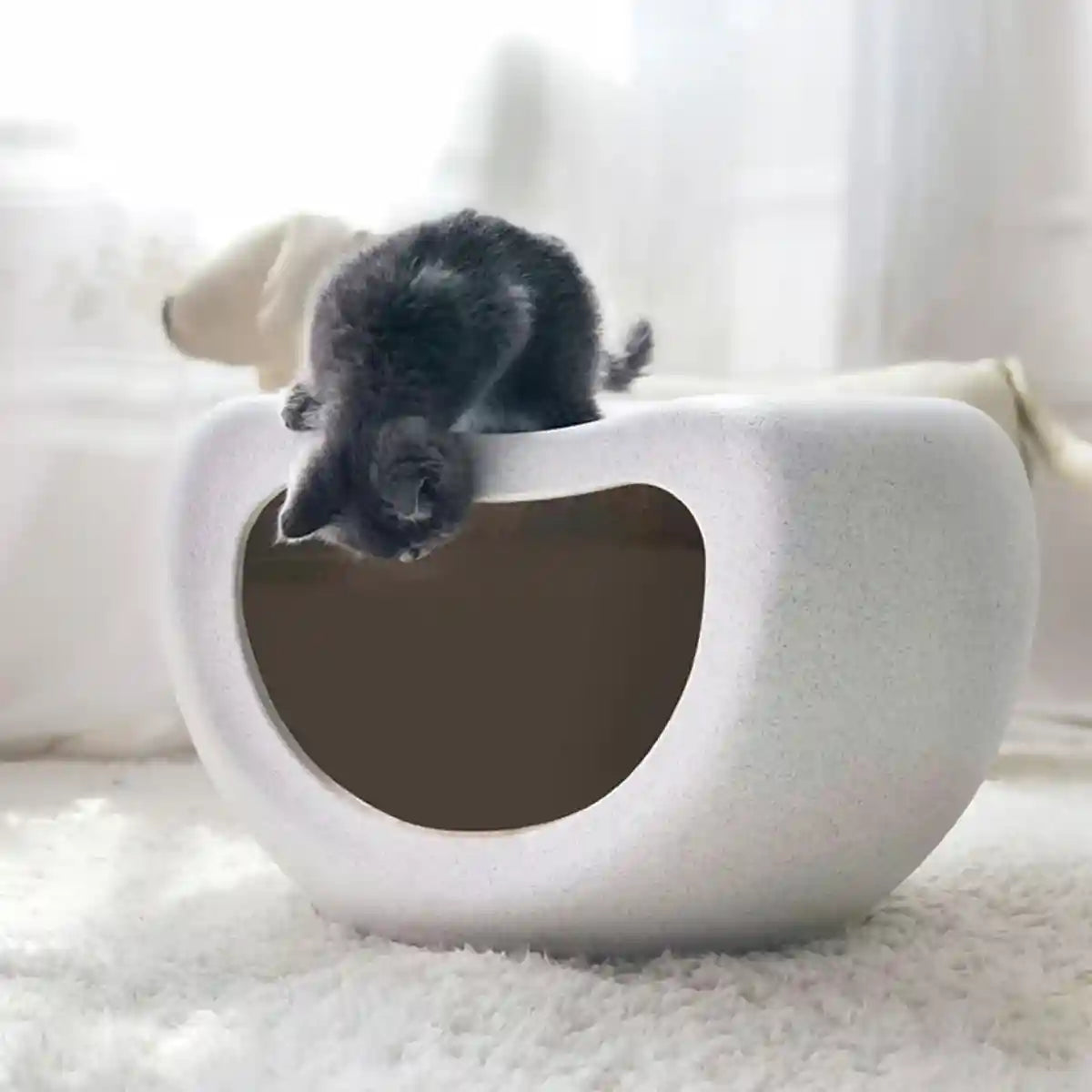 Plastic Cat Nest Durable Indoor Pet Bed with Modern Design