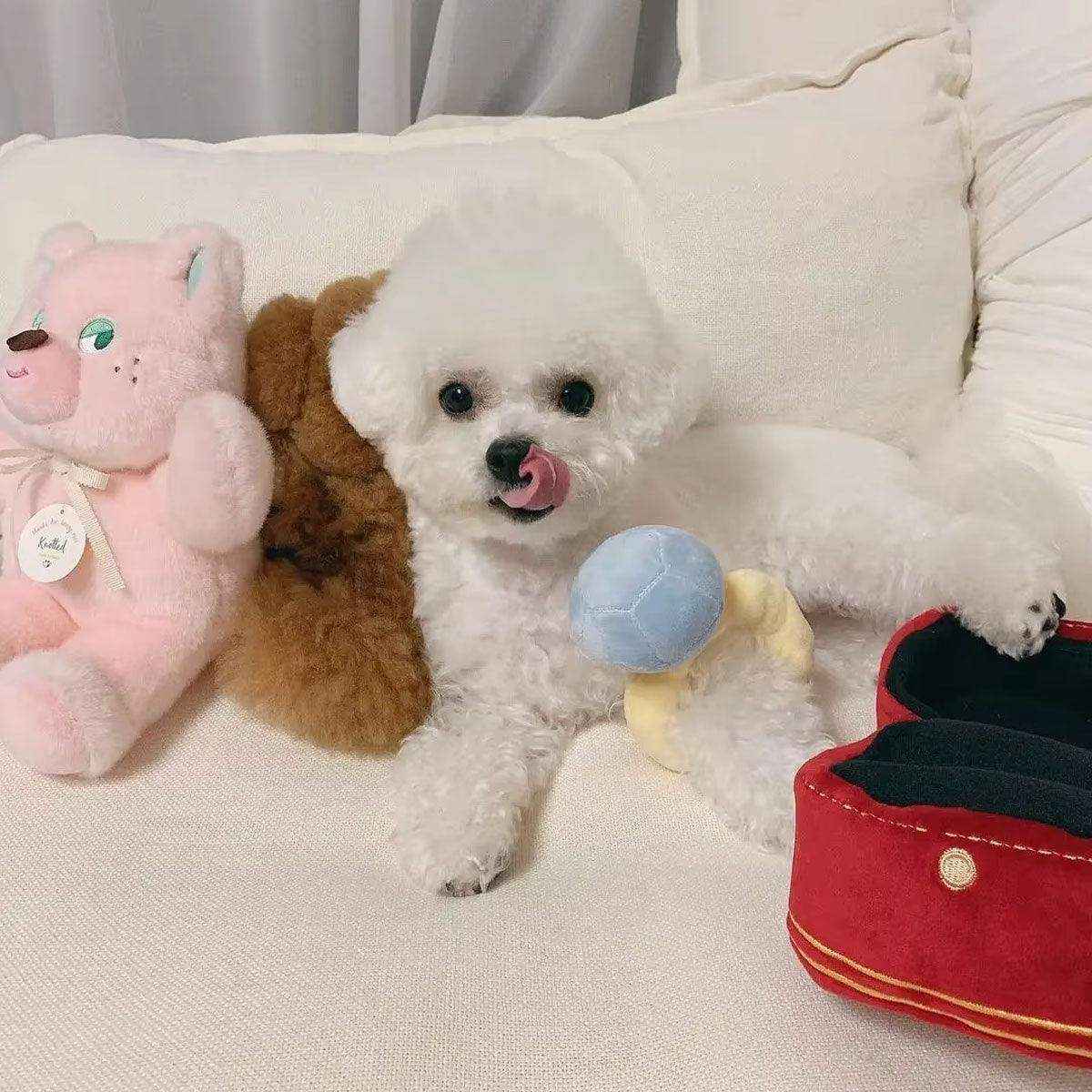 Plush Ring Box Pet Toy Soft & Interactive Chew Toy for Small Dogs & Cats