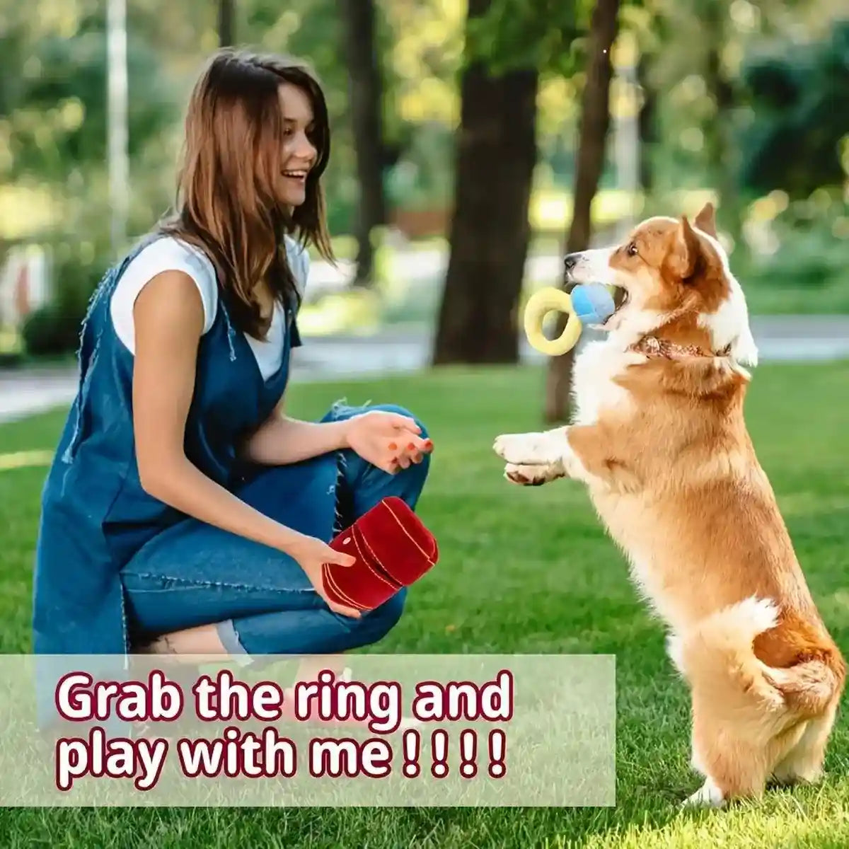 Plush Ring Box Pet Toy Soft & Interactive Chew Toy for Small Dogs & Cats