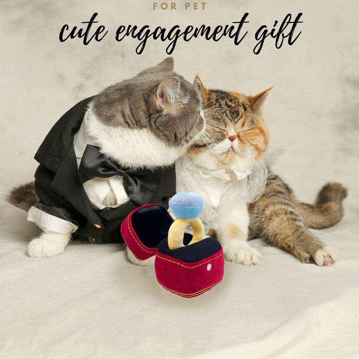 Plush Ring Box Pet Toy Soft & Interactive Chew Toy for Small Dogs & Cats