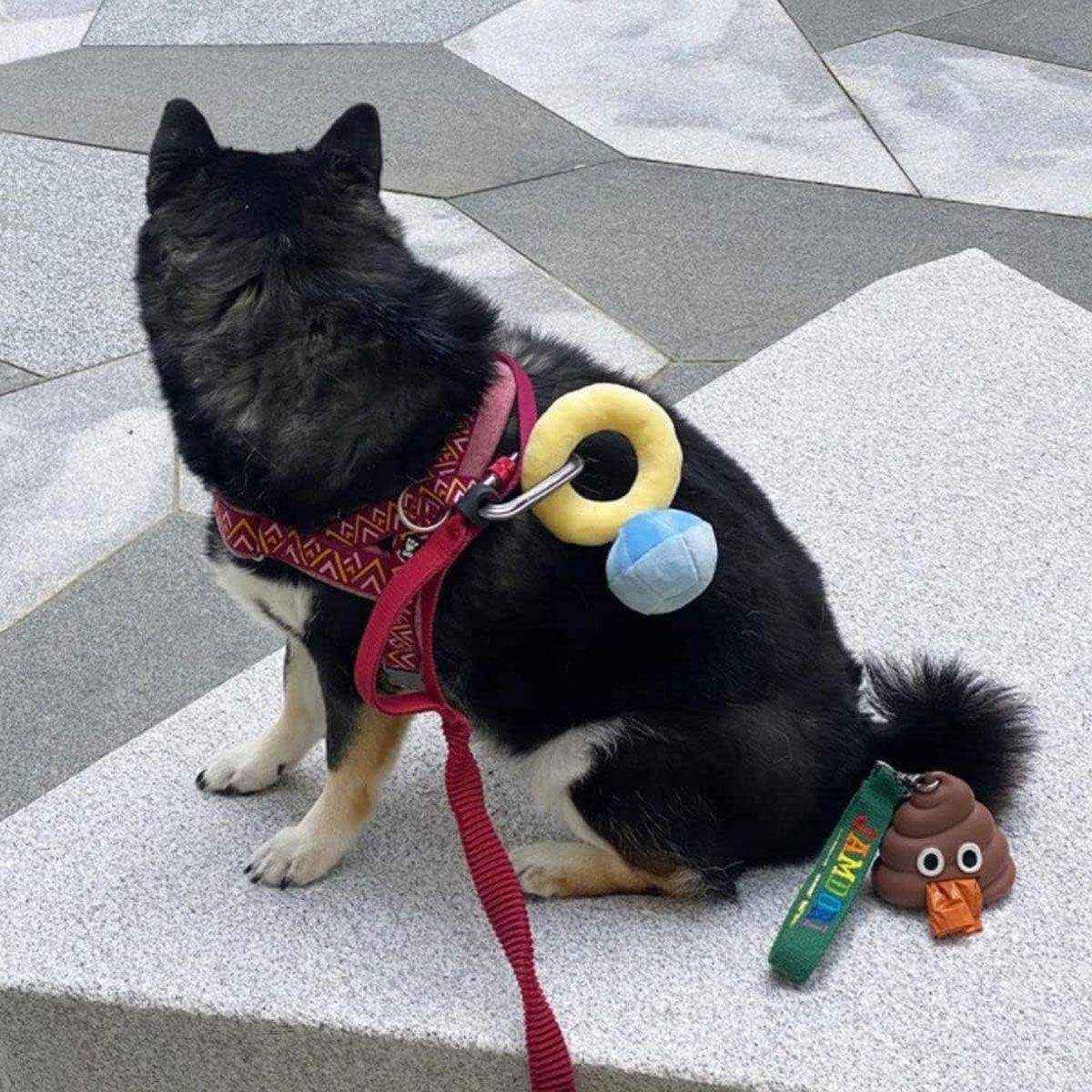 Plush Ring Box Pet Toy Soft & Interactive Chew Toy for Small Dogs & Cats