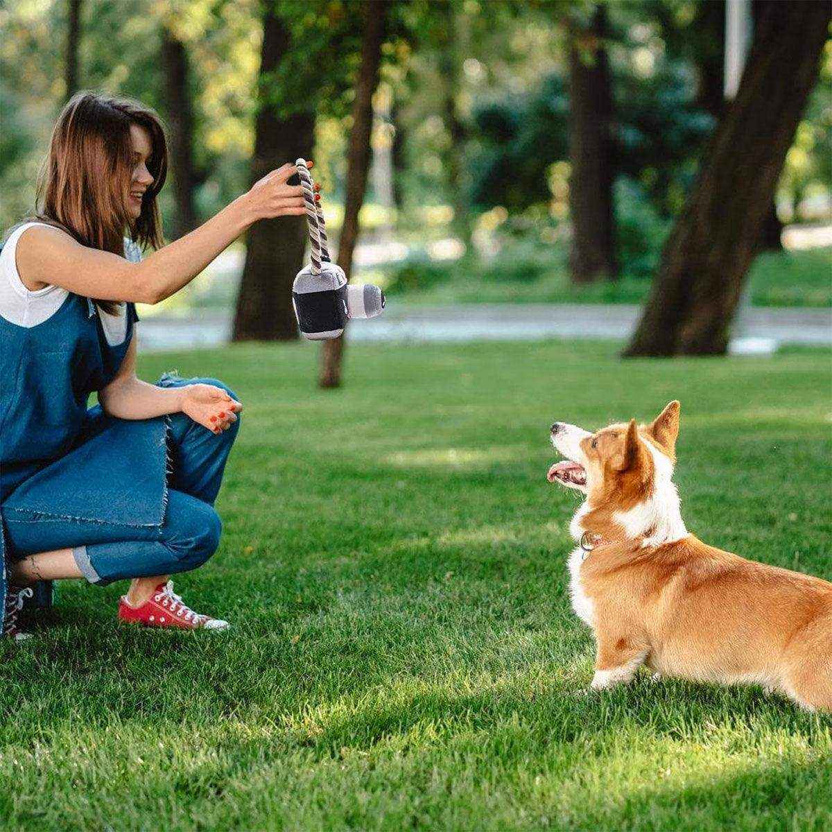 Fun Camera-Shaped Plush Dog Toy with Rope Handle for Interactive Play