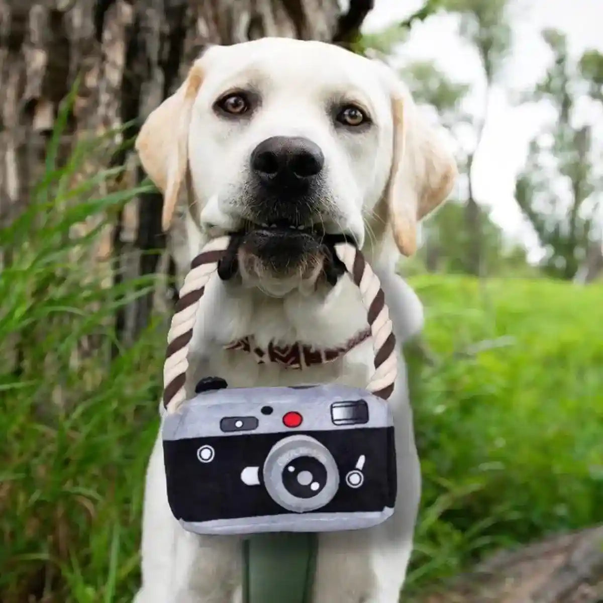 Fun Camera-Shaped Plush Dog Toy with Rope Handle for Interactive Play