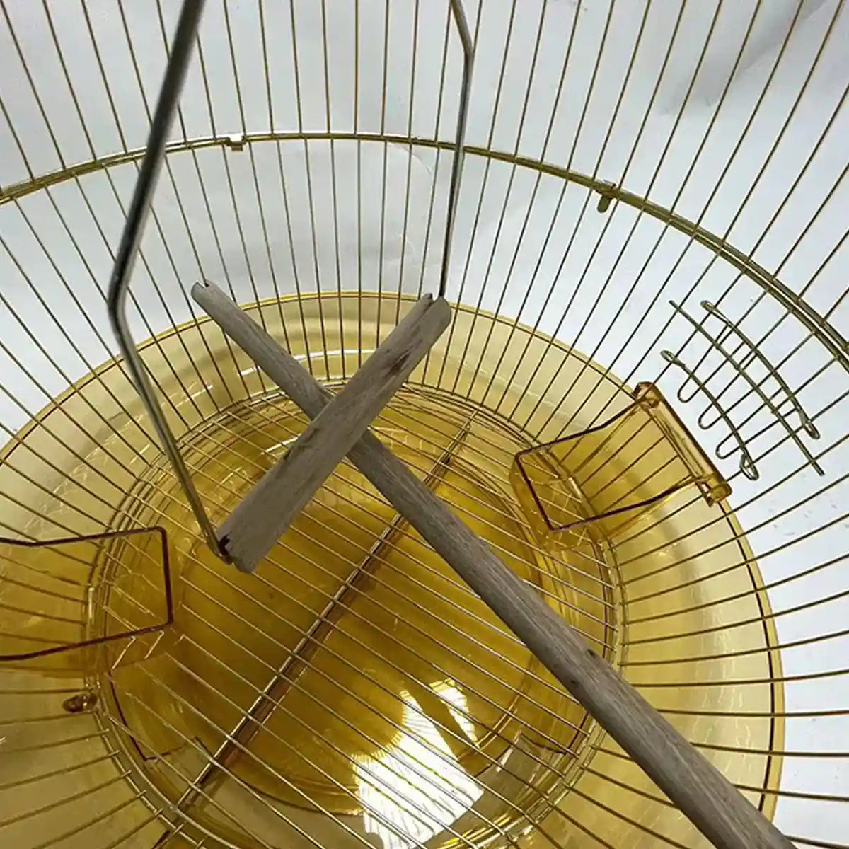 Dome-Shaped Hanging Parrot Cage for Small Birds