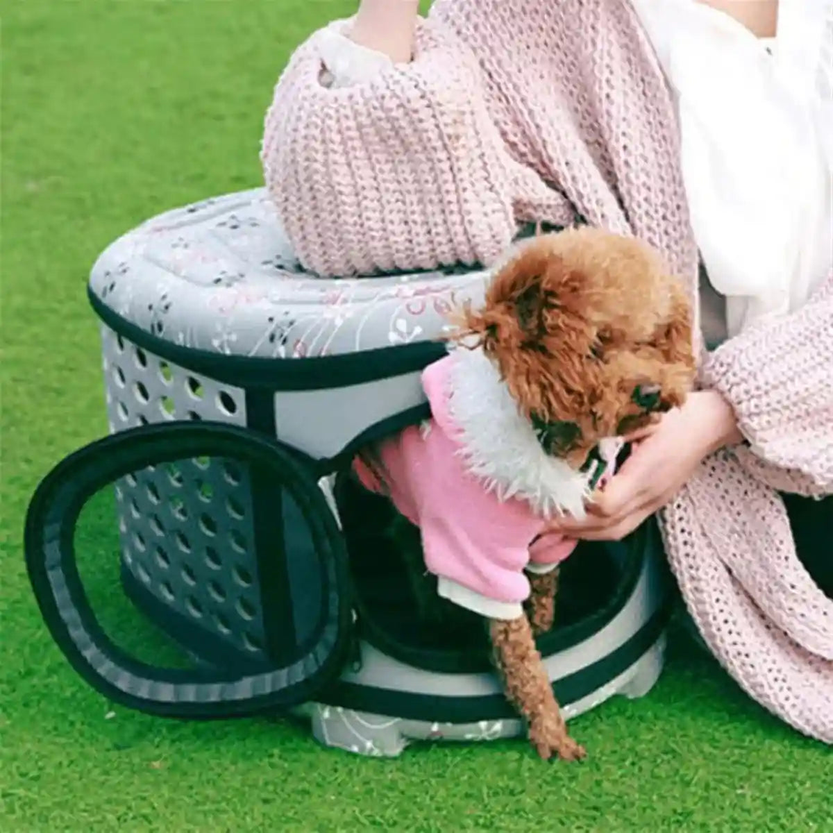 Foldable EVA Pet Carrier Bag with Ventilation and Cotton Lining