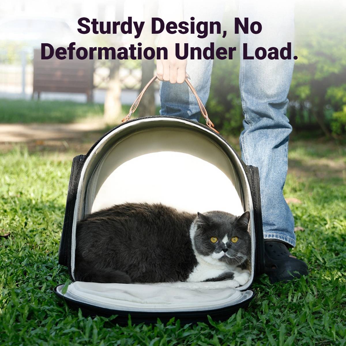 Portable Ventilated Travel Bag for Cats & Small Dogs