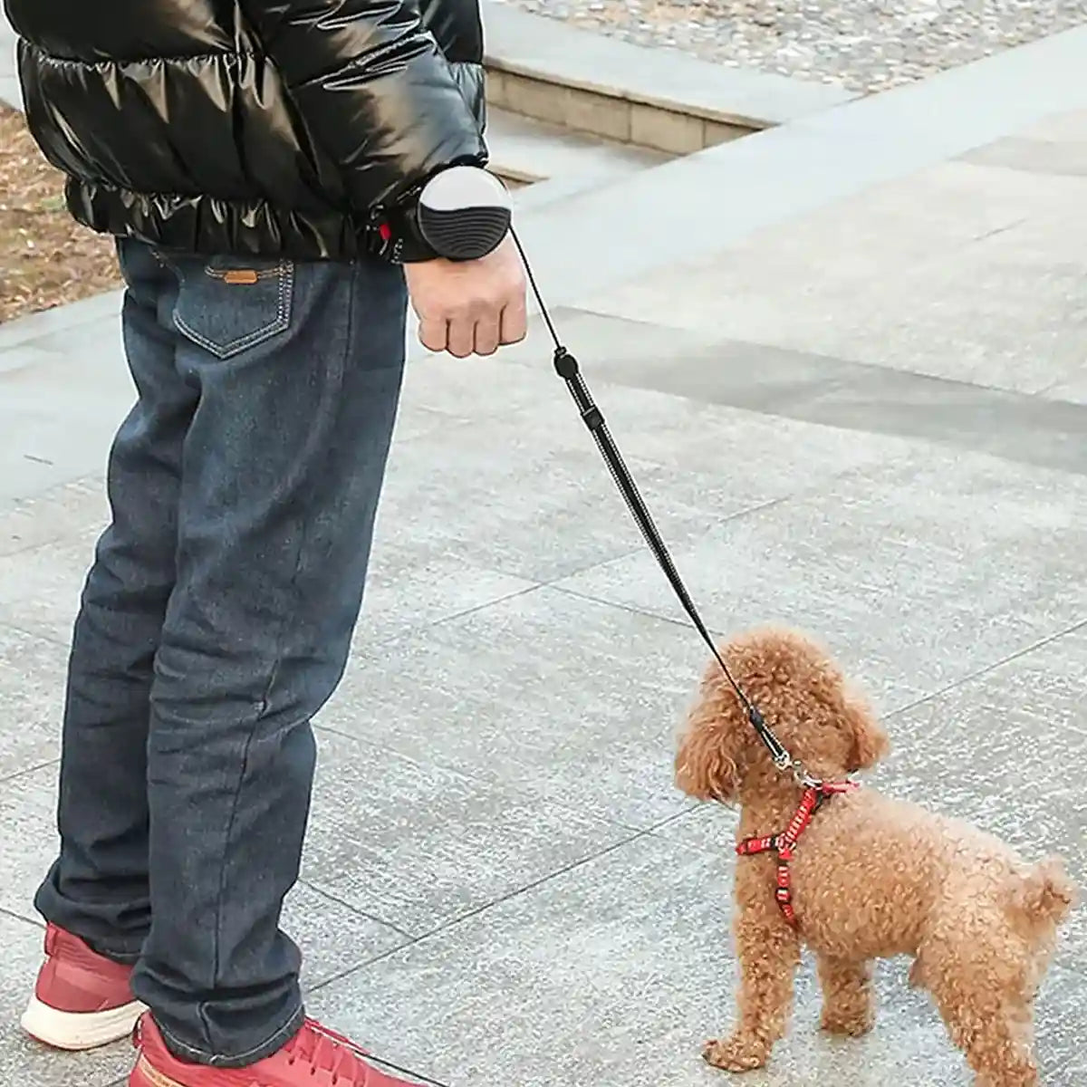 Portable Retractable Dog Leash