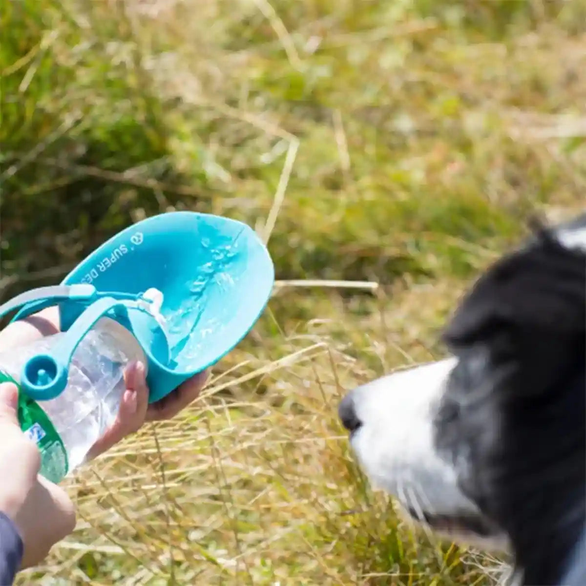 Portable Dog Water Bottle Foldable Travel Dog & Cat Drinking Bottle