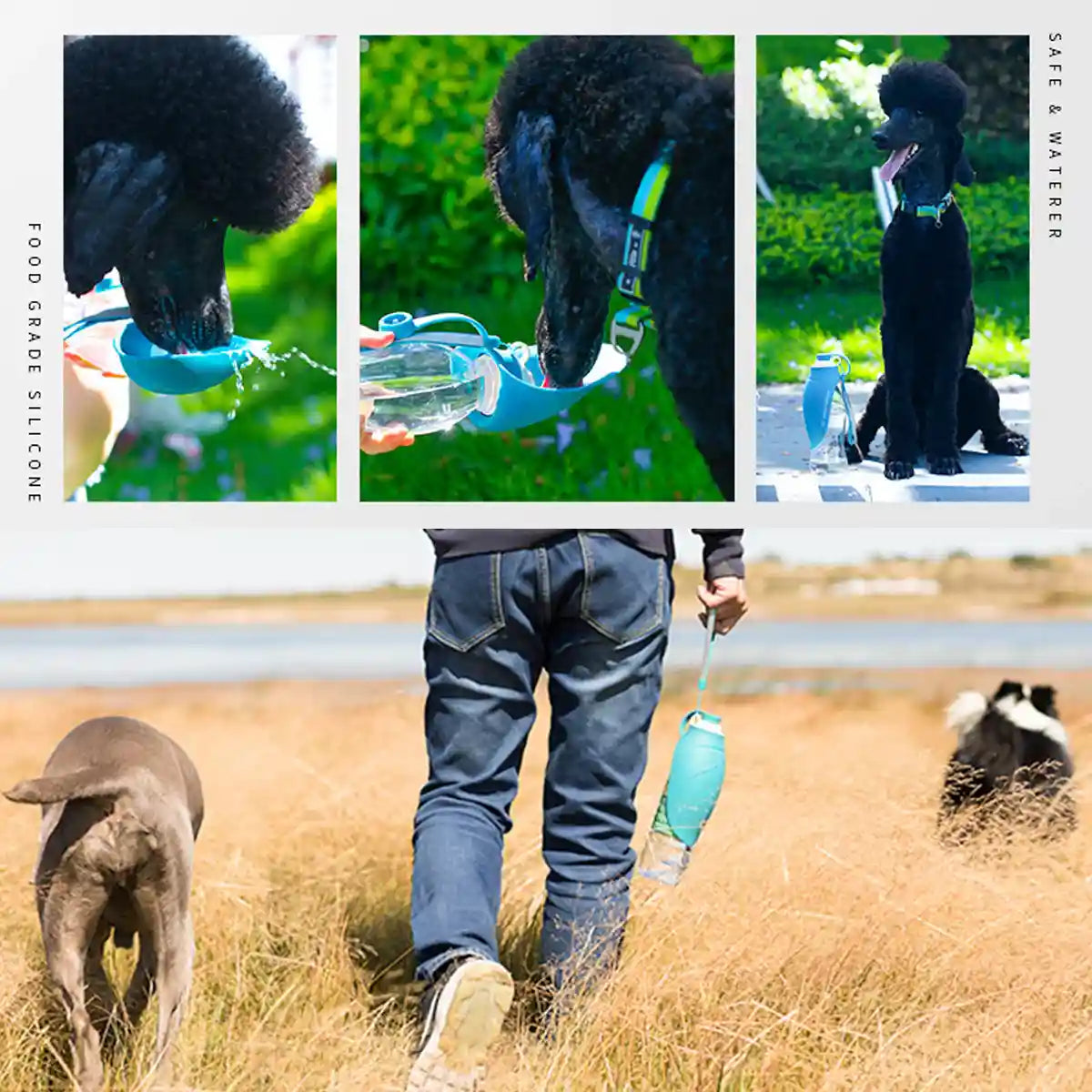 Portable Dog Water Bottle Foldable Travel Dog & Cat Drinking Bottle