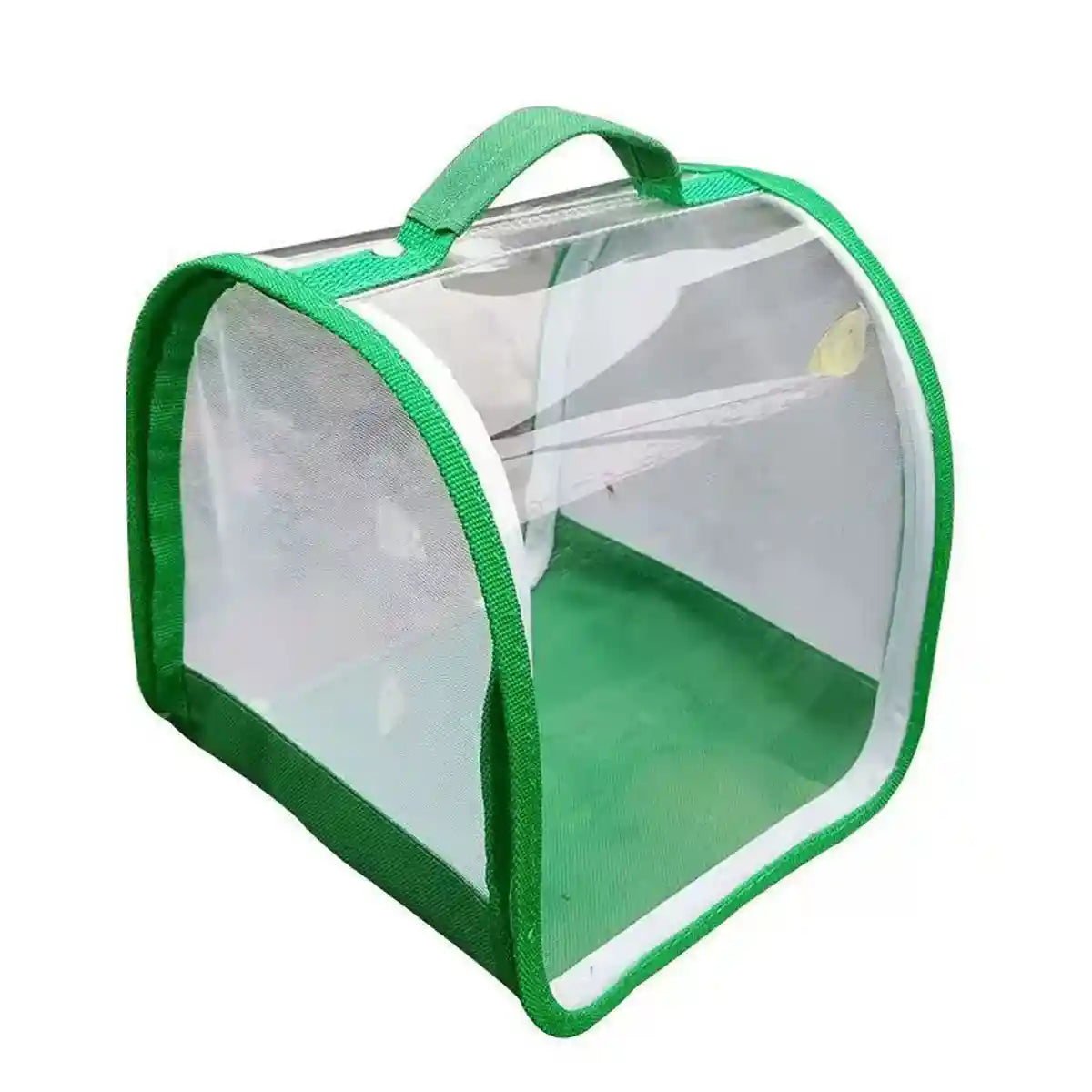 360° Transparent Observation Insect Cage