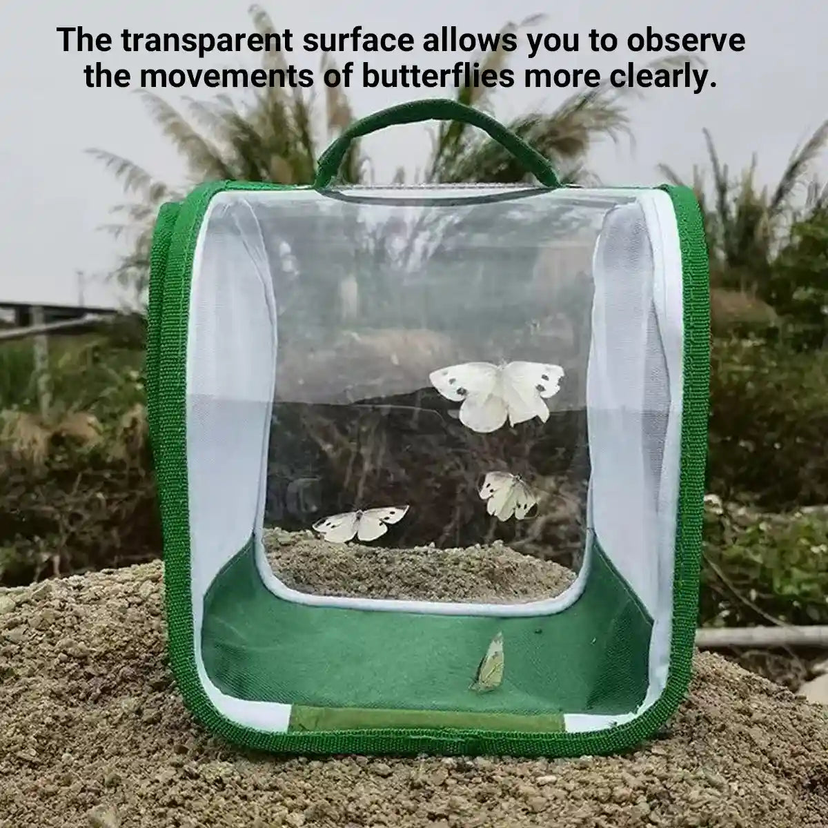 360° Transparent Observation Insect Cage