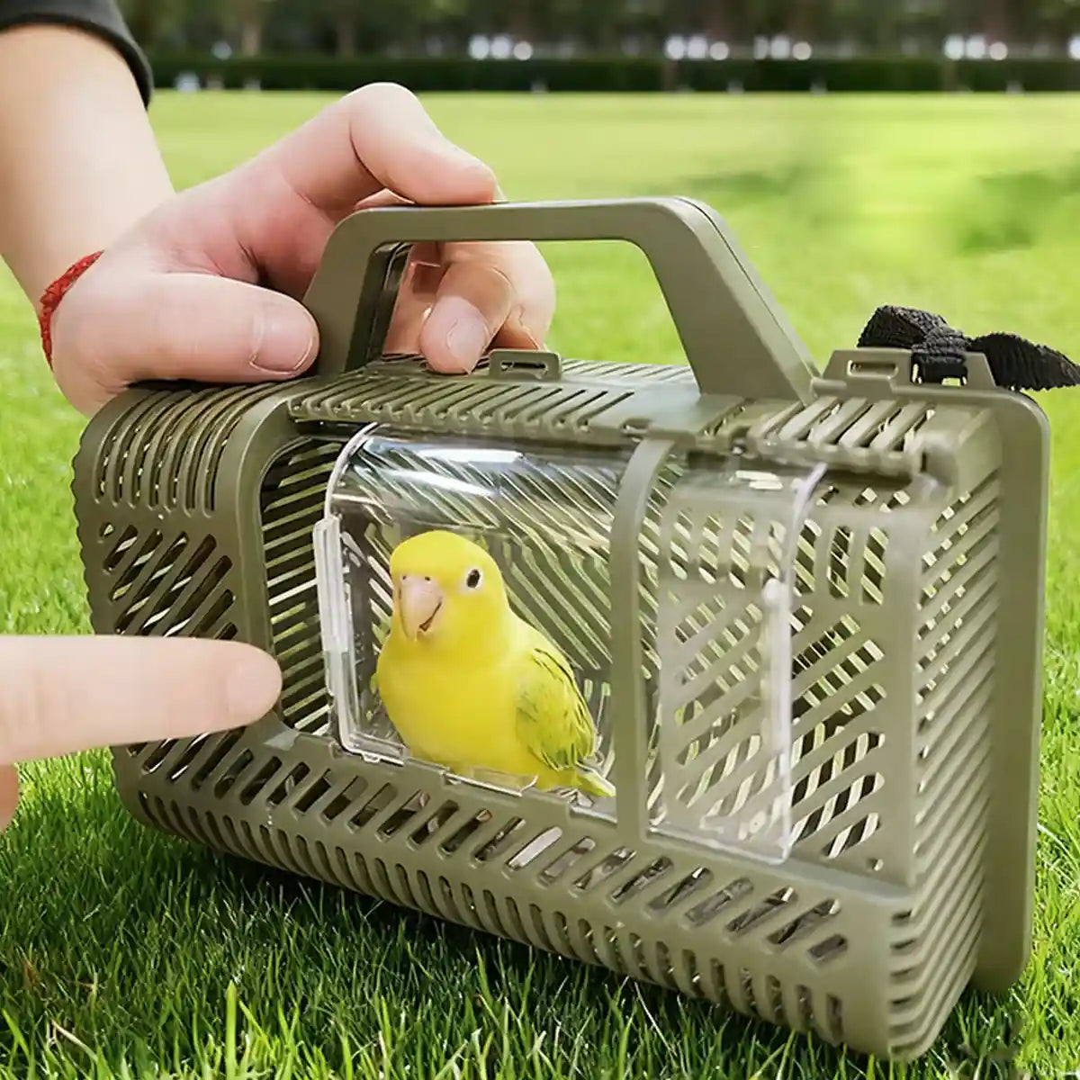 Portable Parrot Travel Cage Lightweight Bird Carrier