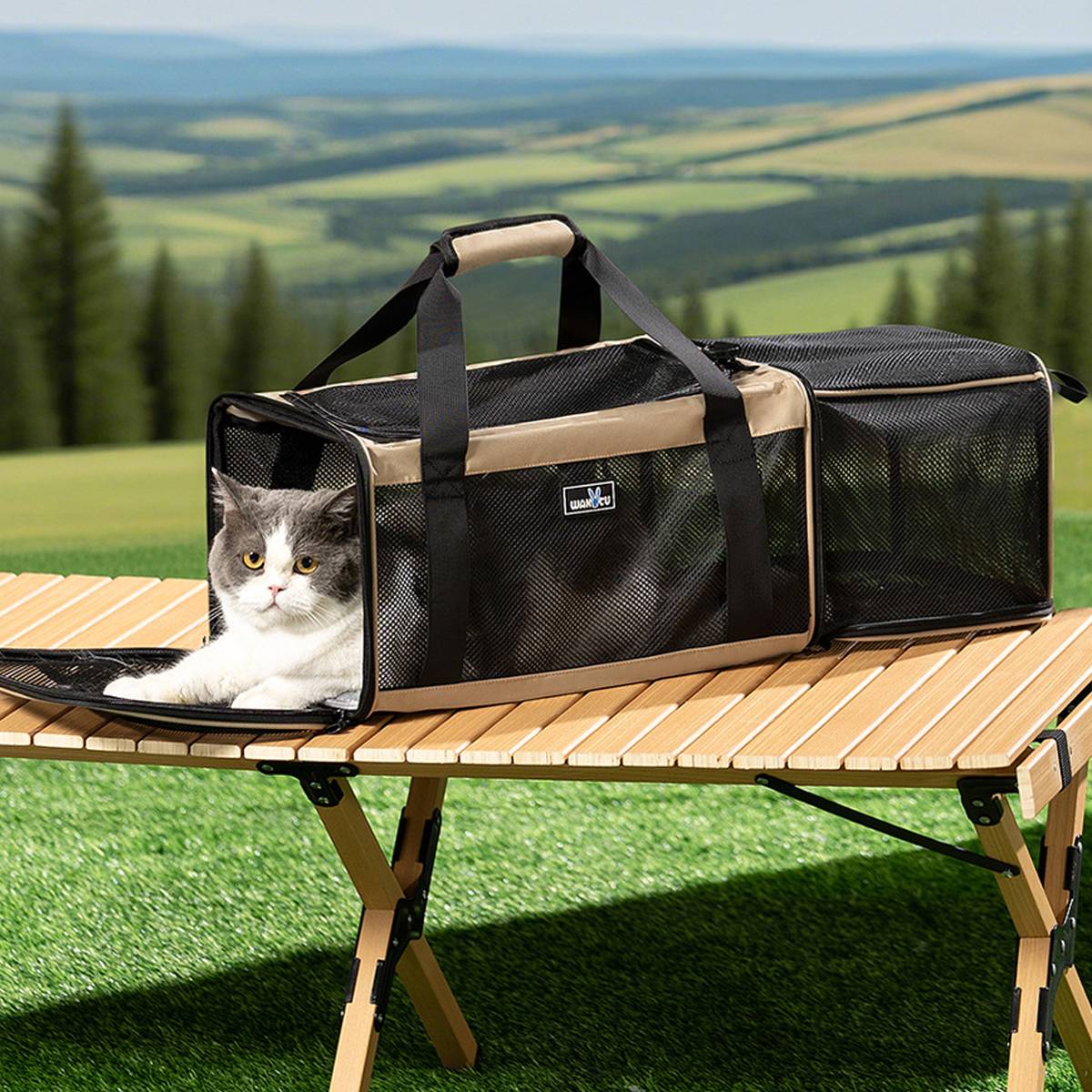 Portable Expandable Pet Carrier For Cats & Small Dogs