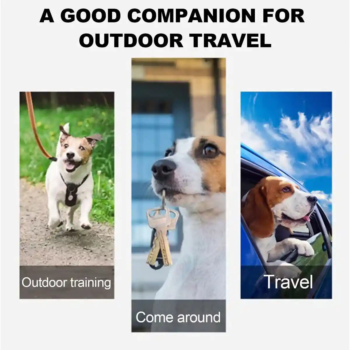 Portable Pet Feeding Bowl Double Travel Bowl for Dogs & Cats