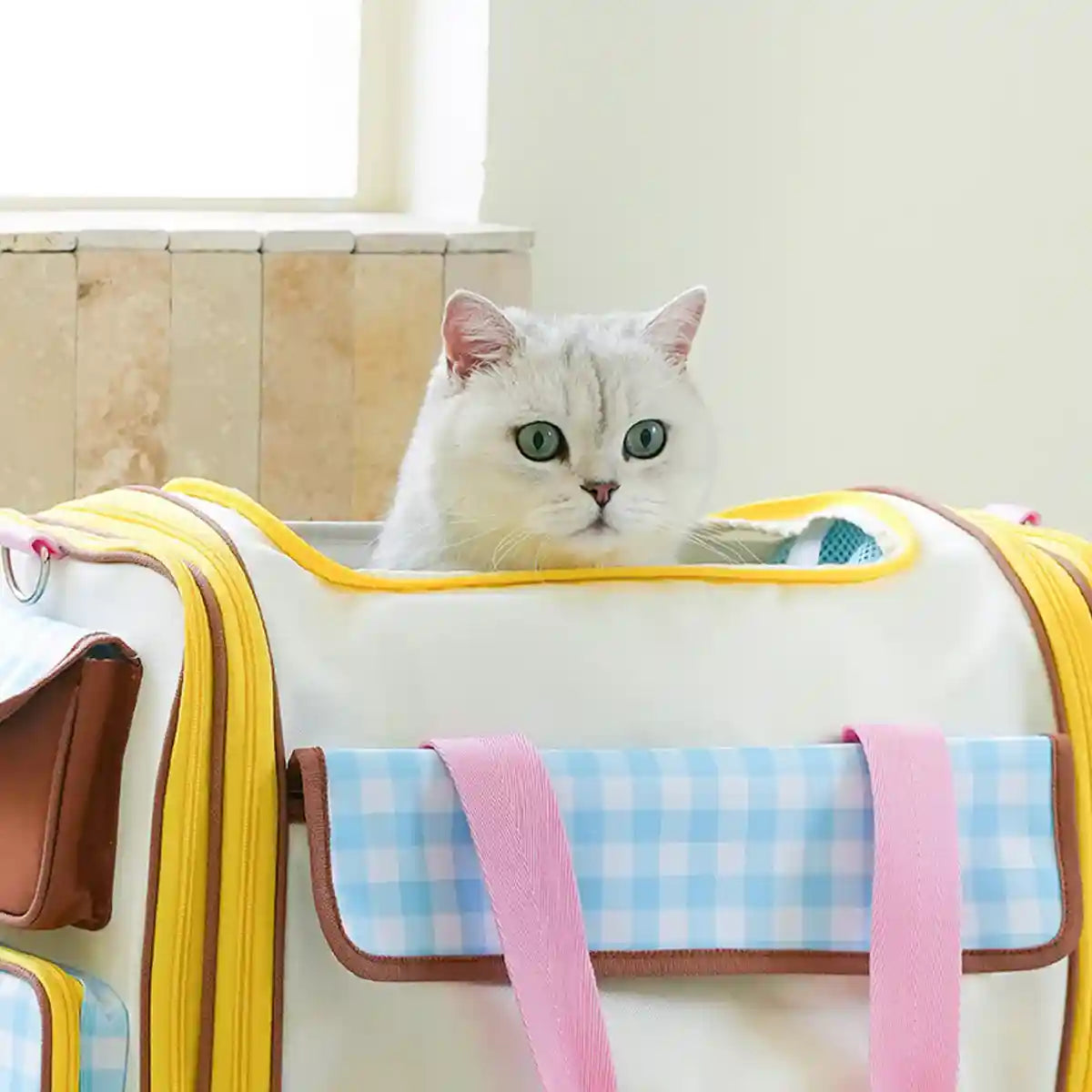 Portable Pet Travel Bag With Expandable Design