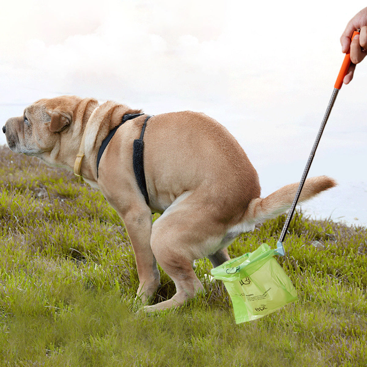 Telescopic Dog Poop Scooper Long Handle Adjustable Waste Picker