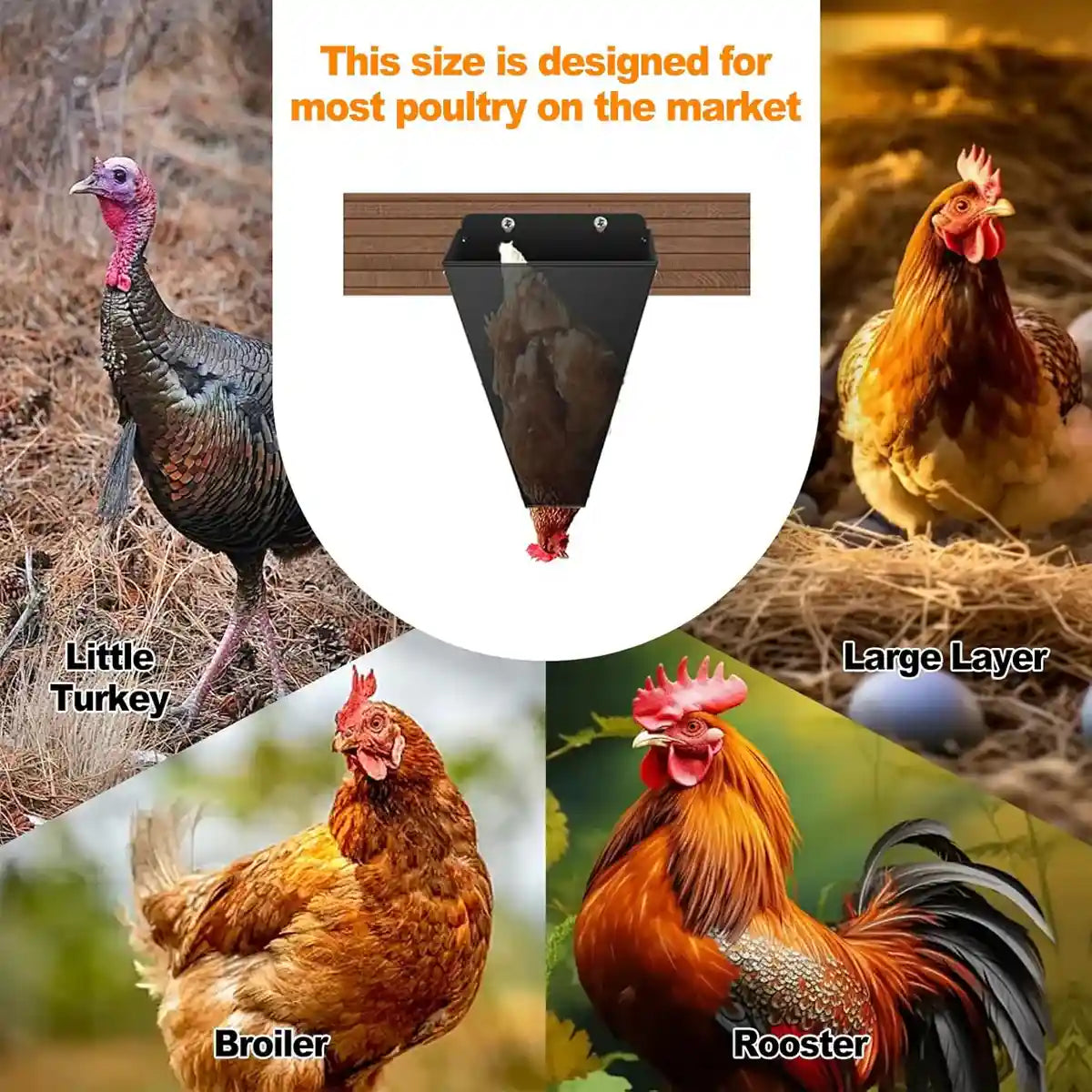 Iron Poultry Cone Flat Back Funnel For Chicken Processing