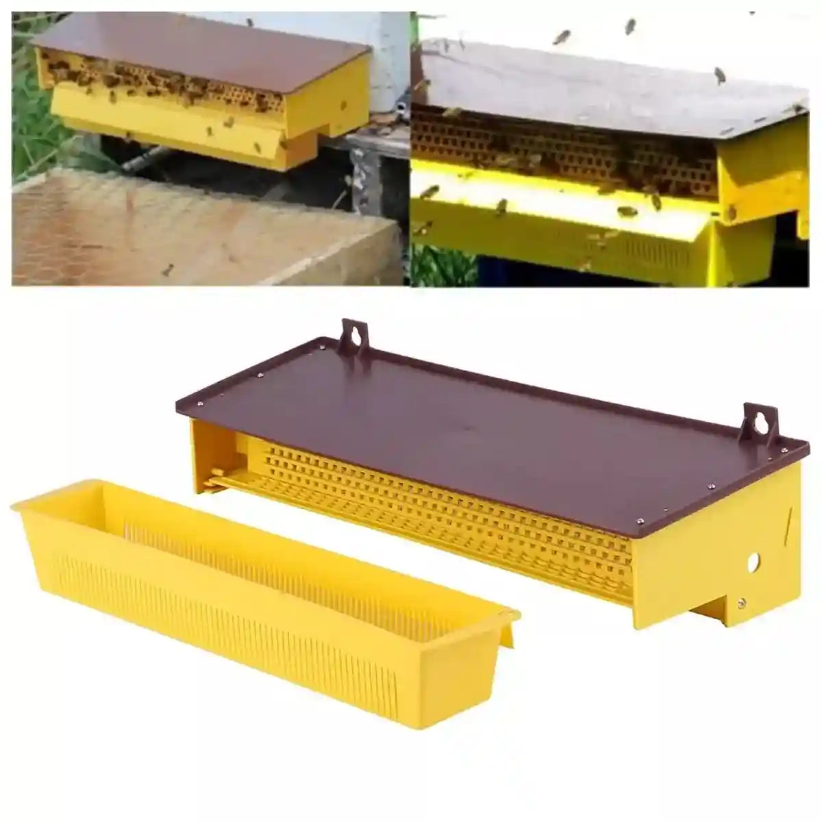 Beekeeping Powder Trap Box for Efficient Pollen Collection