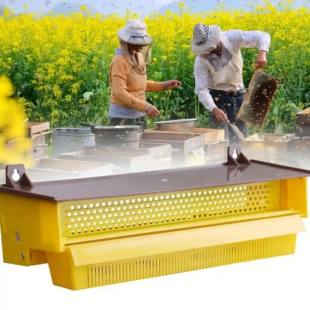Beekeeping Powder Trap Box for Efficient Pollen Collection
