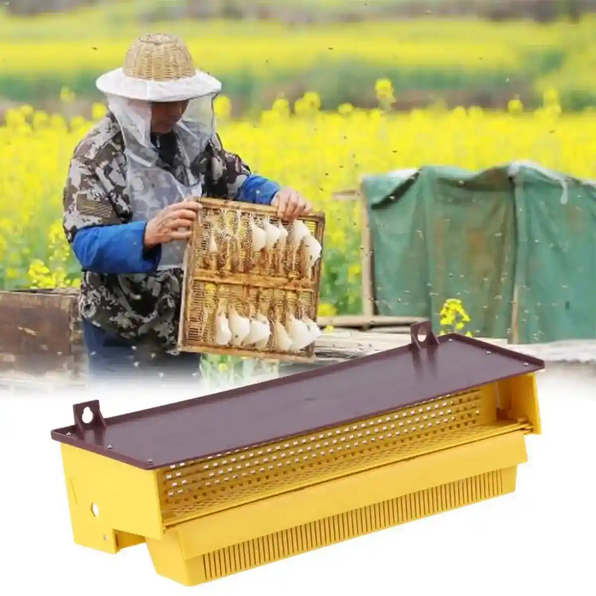 Beekeeping Powder Trap Box for Efficient Pollen Collection