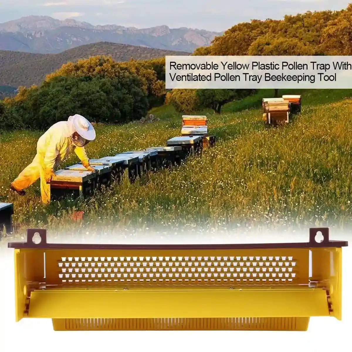 Beekeeping Powder Trap Box for Efficient Pollen Collection