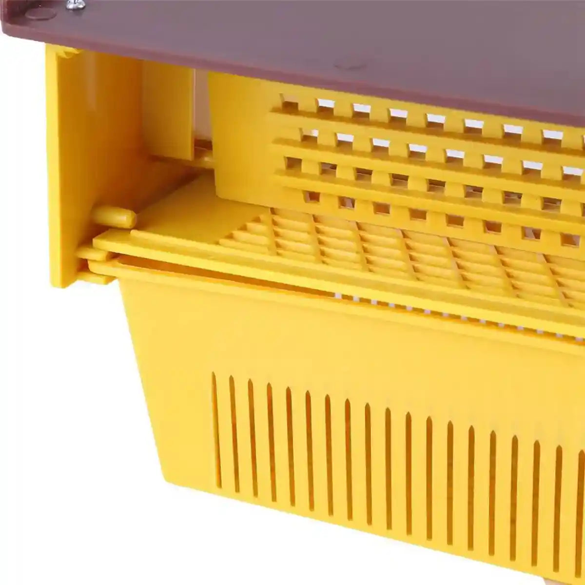 Beekeeping Powder Trap Box for Efficient Pollen Collection