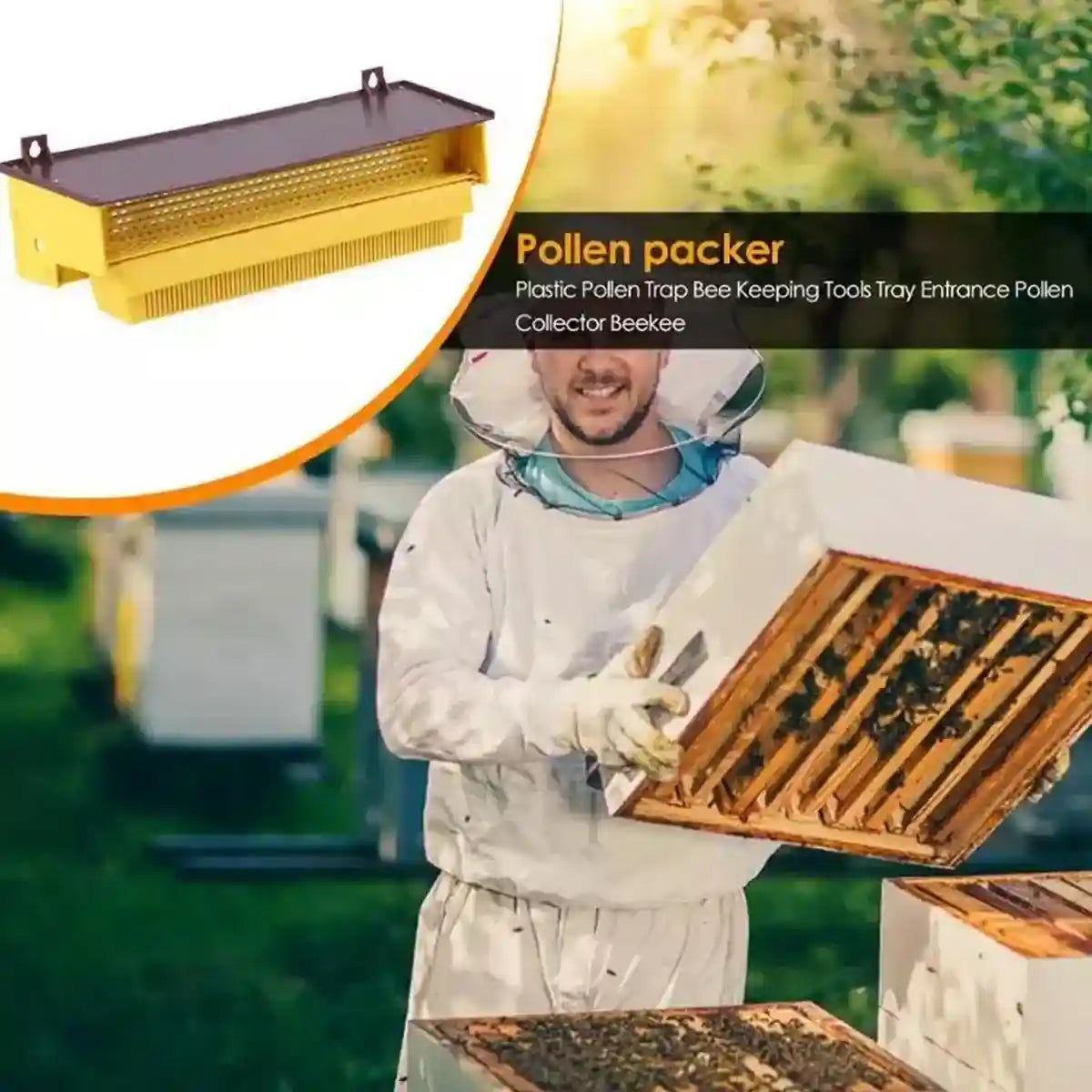 Beekeeping Powder Trap Box for Efficient Pollen Collection