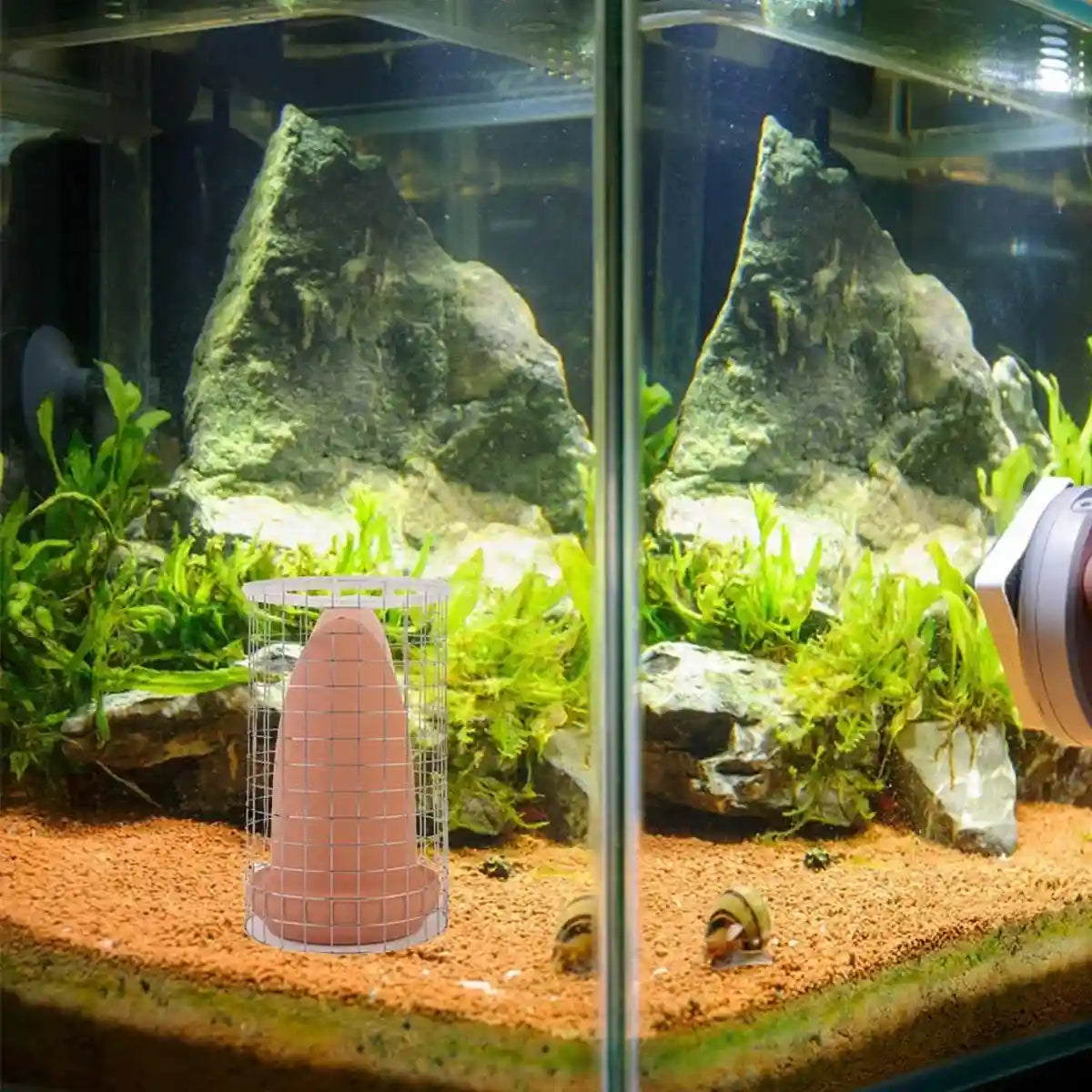 Discus Breeding Cone Clay Spawning Cone With Protective Guard For Aquarium Fish