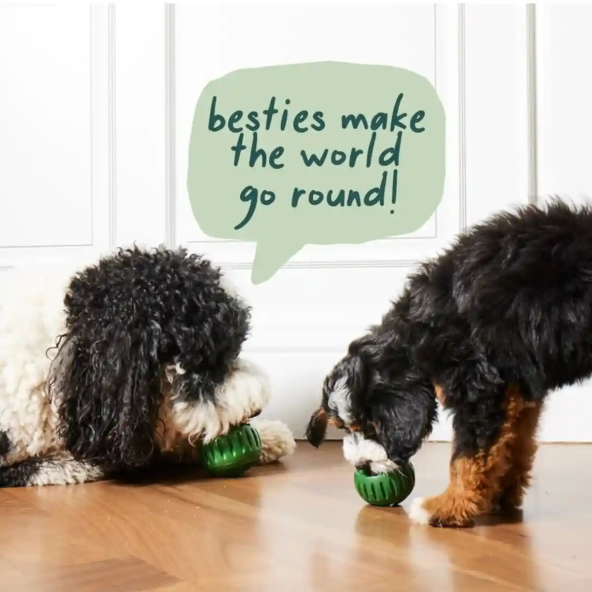 Durable Dog Treat Tray Mold & Toy Long-Lasting Dog Snack Maker