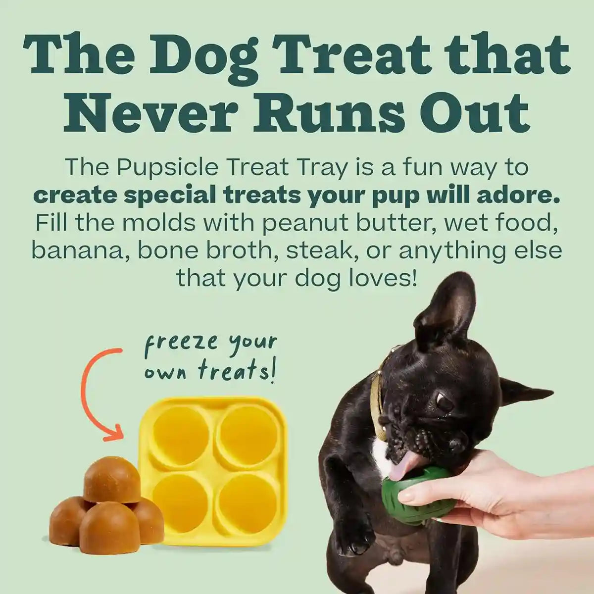 Durable Dog Treat Tray Mold & Toy Long-Lasting Dog Snack Maker