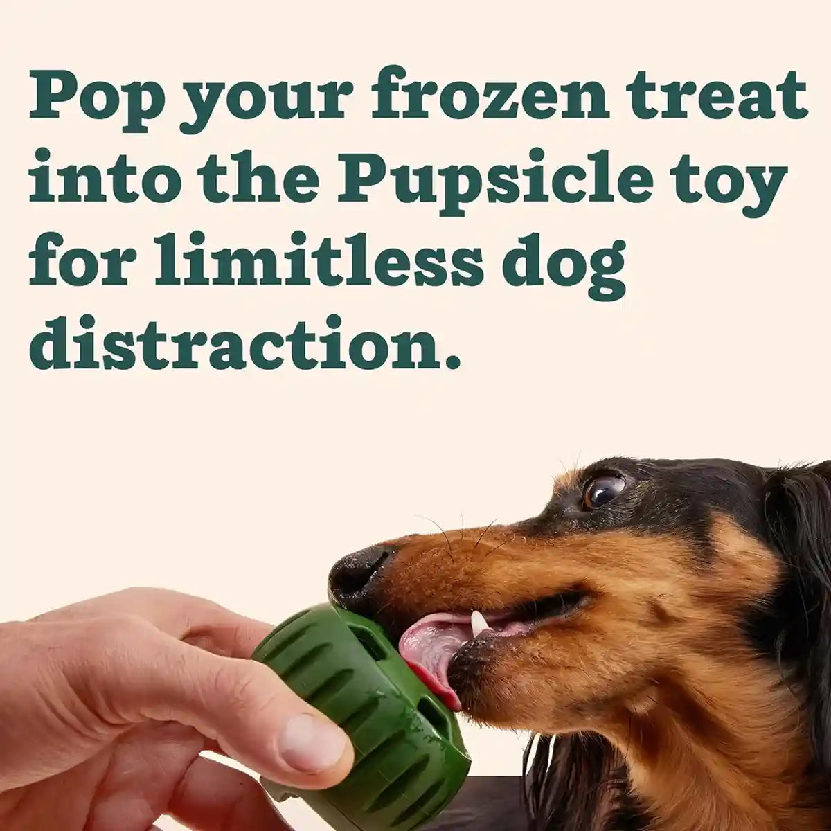 Durable Dog Treat Tray Mold & Toy Long-Lasting Dog Snack Maker