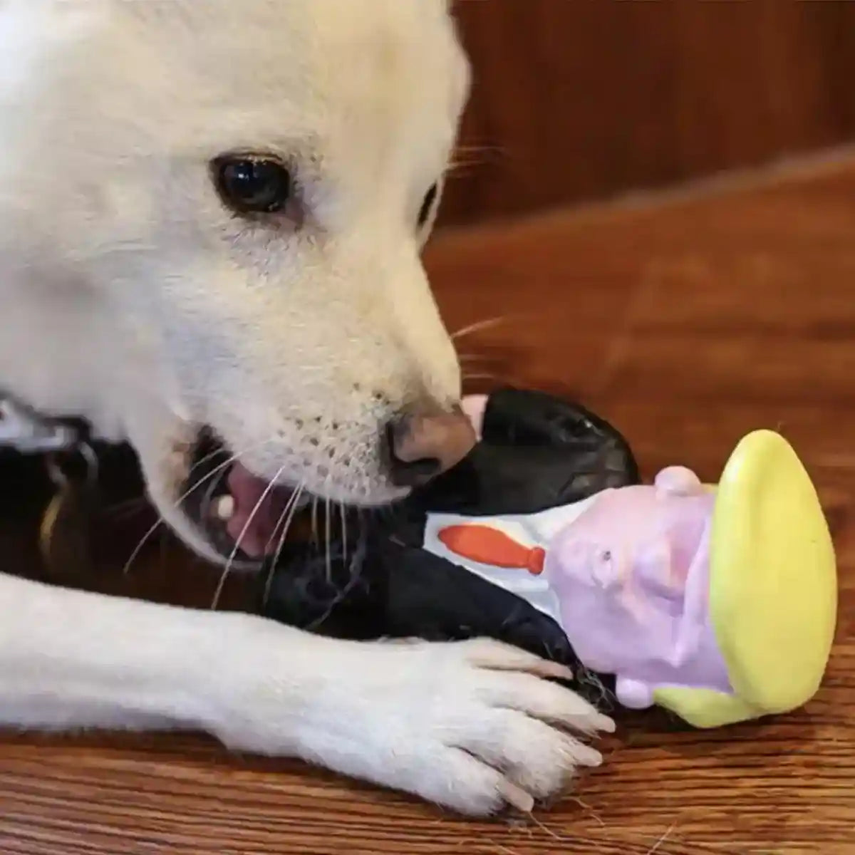 Interactive Squeaky Puppy Chew Toys Durable Latex Dog Teething Toy