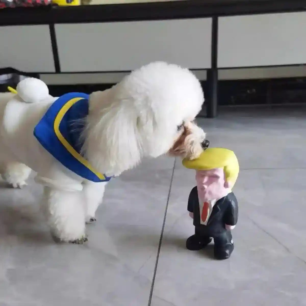 Interactive Squeaky Puppy Chew Toys Durable Latex Dog Teething Toy