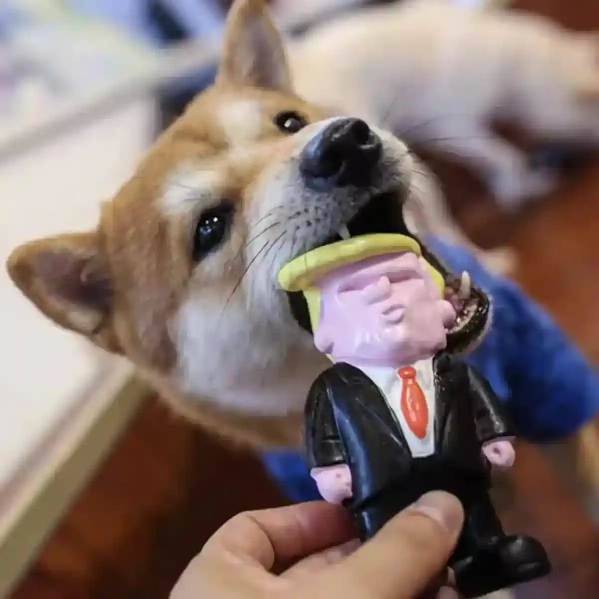 Interactive Squeaky Puppy Chew Toys Durable Latex Dog Teething Toy