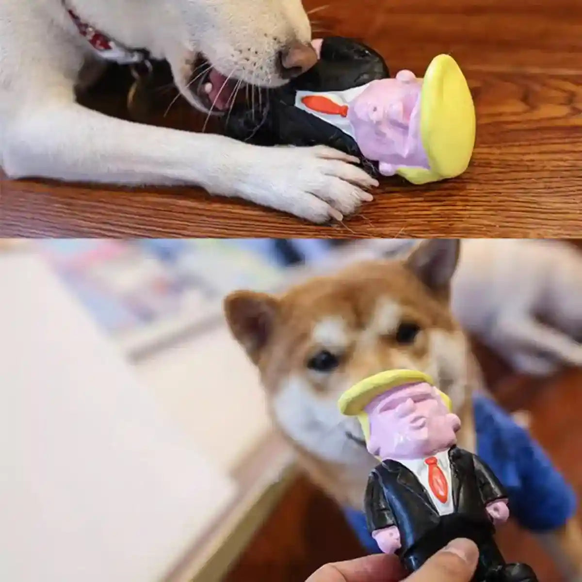 Interactive Squeaky Puppy Chew Toys Durable Latex Dog Teething Toy