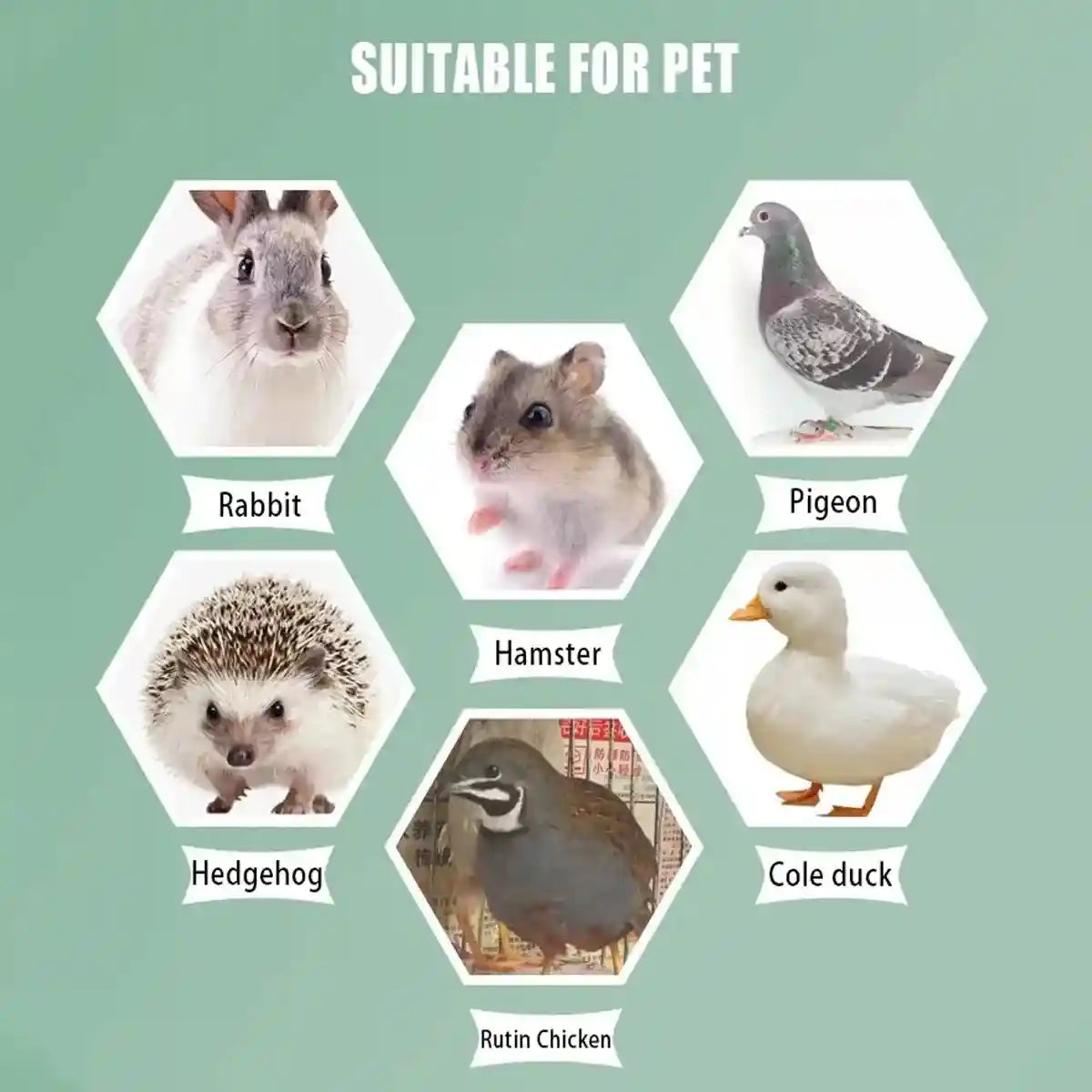 Cozy Straw Rabbit House with Detachable Base for Small Pets