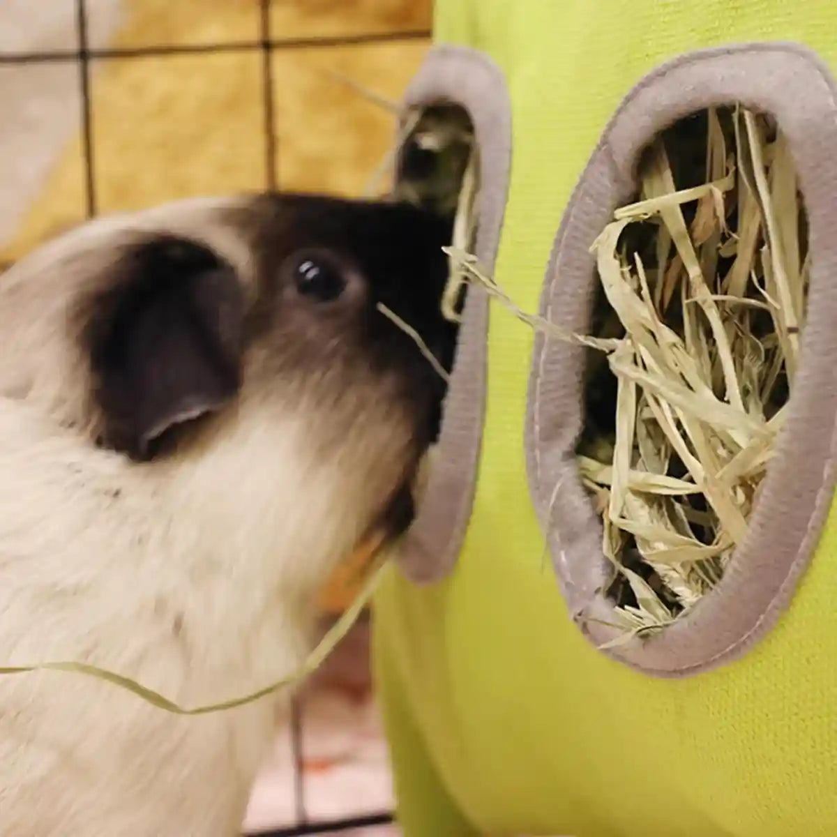 Hanging Hay Feeder Bag for Rabbits and Guinea Pigs