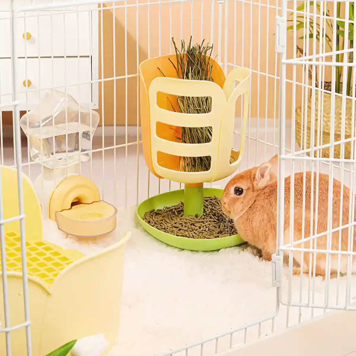 Rabbit Grass Feeder 2-in-1 Hay Food Dispenser