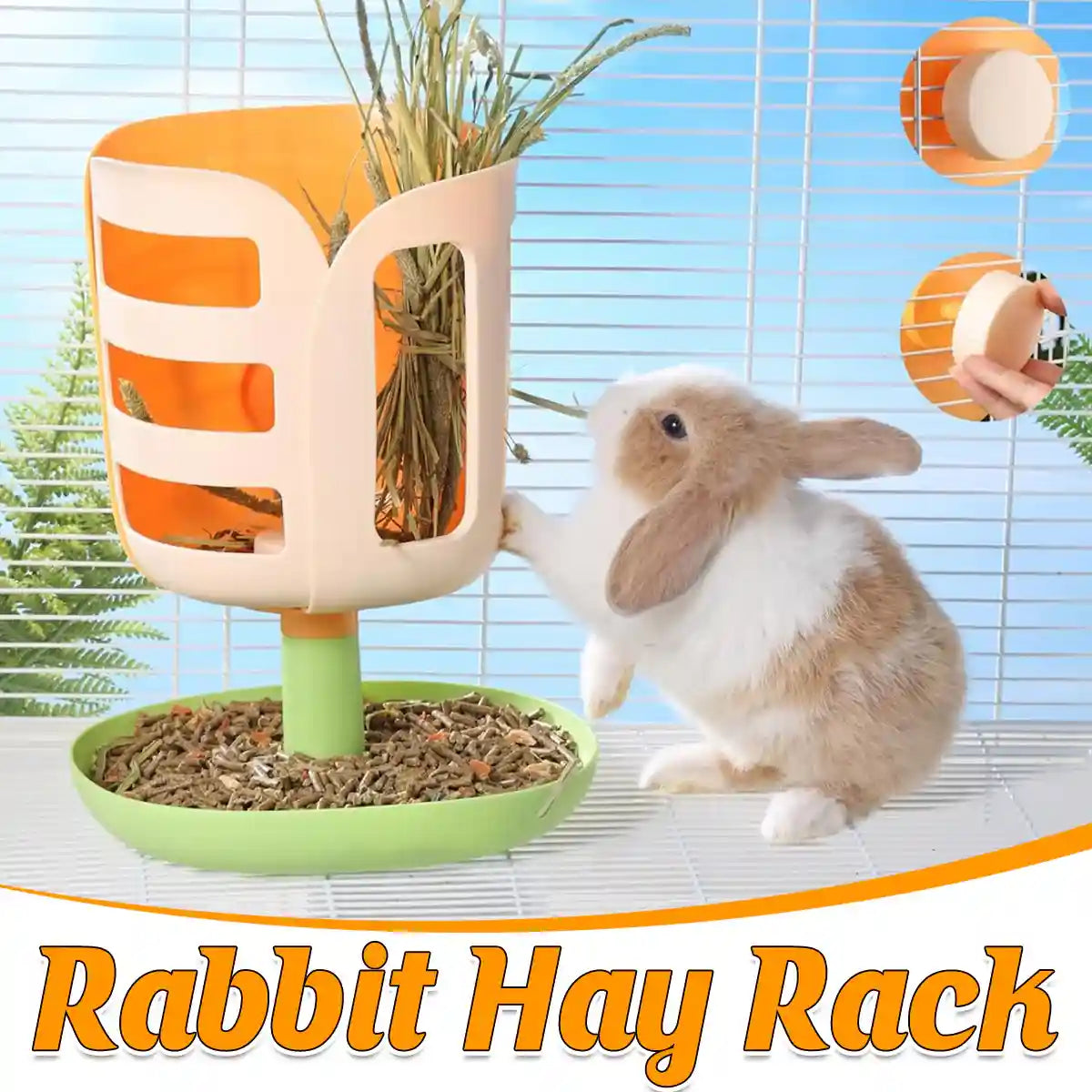 Rabbit Grass Feeder 2-in-1 Hay Food Dispenser