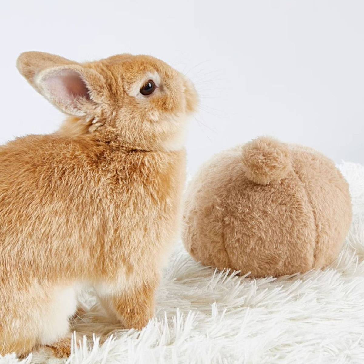 Rabbit Stress Relief Toy Soft Bunny Plush Toy