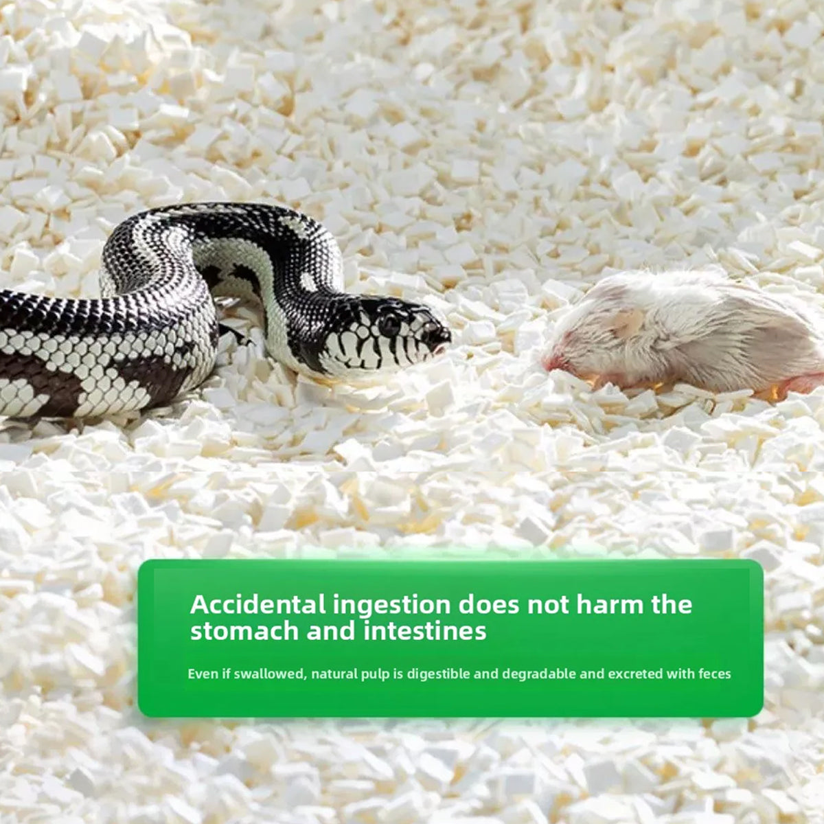 Reptile Bedding Blocks for Snake Tank Substrate