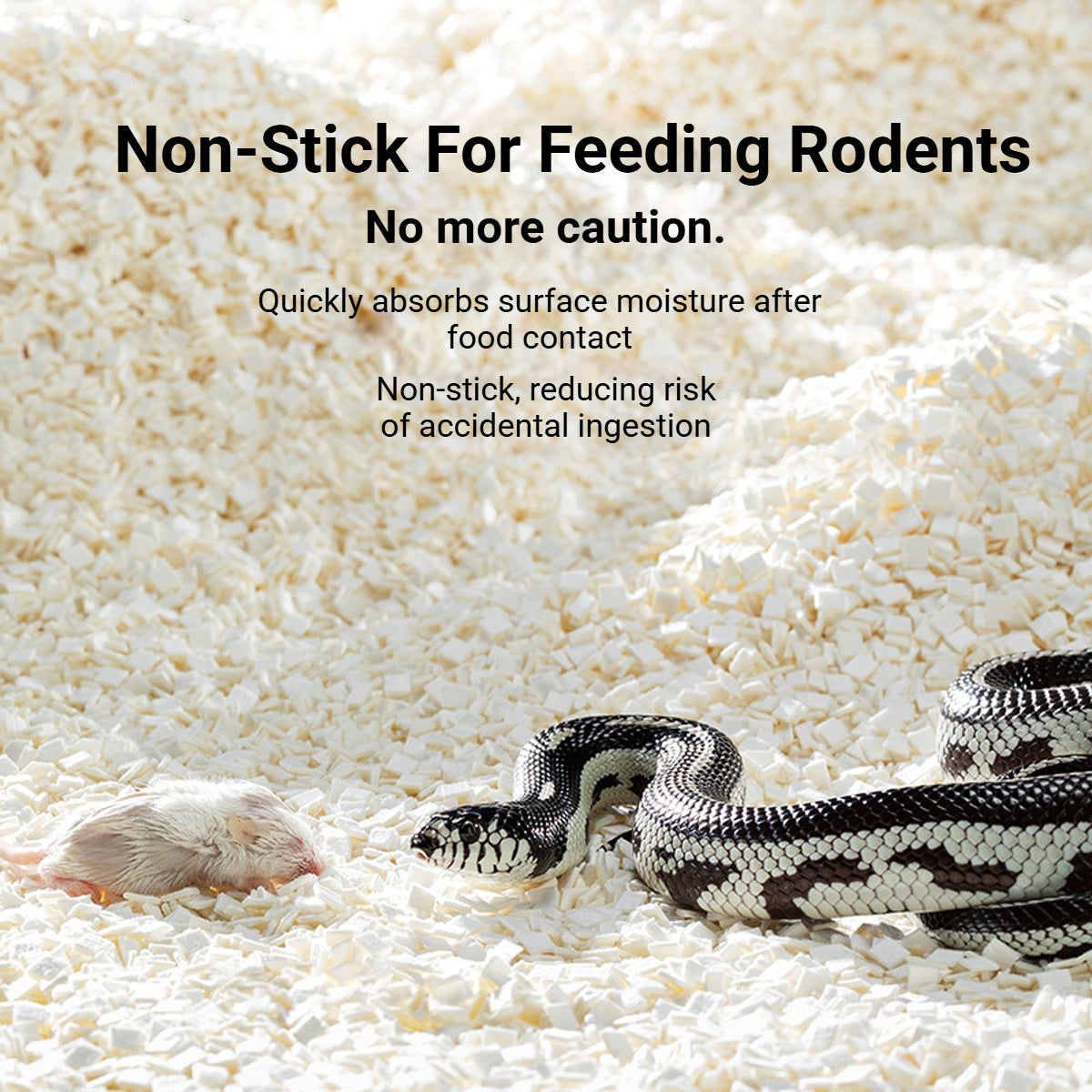 Reptile Bedding Blocks for Snake Tank Substrate